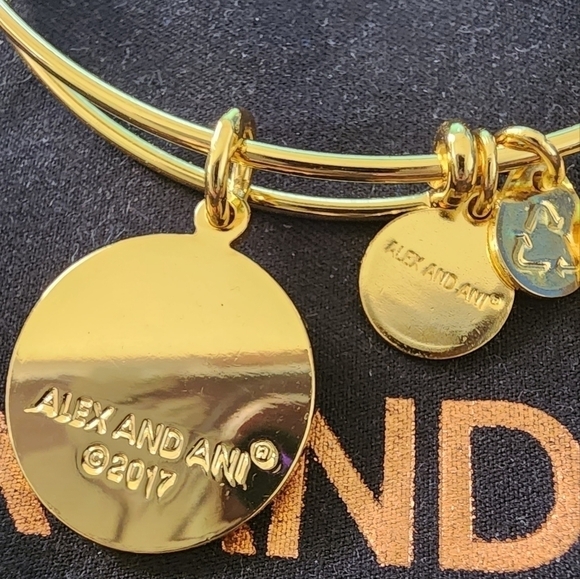 Alex and Ani Words are Powerful Bangle Bracelet - Picture 4 of 7